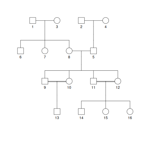 _images/simulated_pedigree_1.png