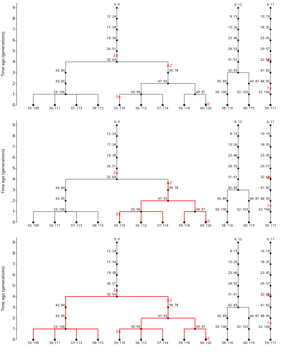 _images/simulated_pedigree_2_mutations_combined.png